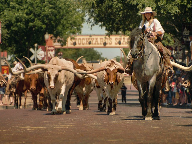 Fort Worth TX, Verenigde Staten