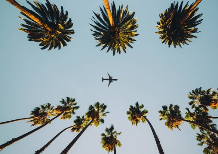 Vlucht met KLM Delta Airlines naar Tampa Airport