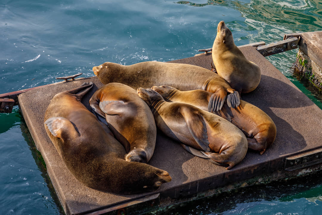 Newport, OR, Verenigde Staten