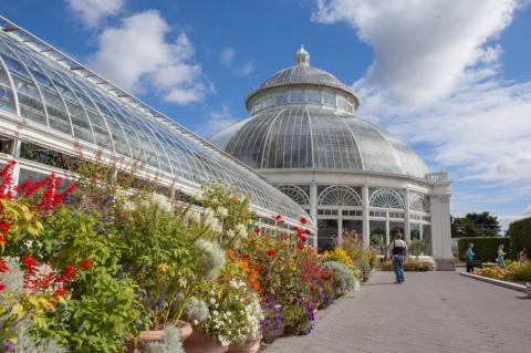 New York Botanical Garden