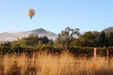 Luchtballon boven Napa Valley