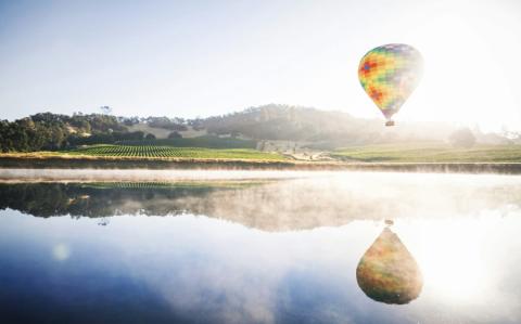 Luchtballon boven Napa Valley