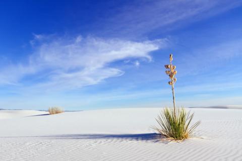 White Sands National Park