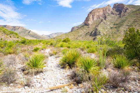 Carlsbad caverns national park