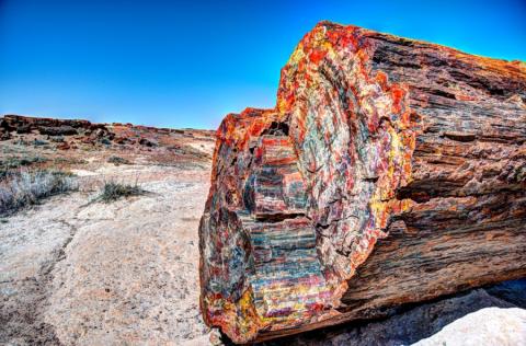 Painted Desert