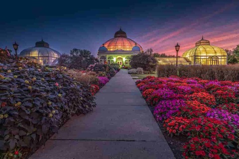 Buffalo and Erie County Botanical Gardens.  NYC