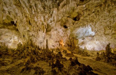 Carlsbad caverns national park