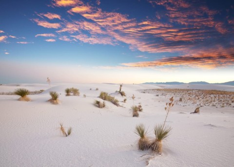 White Sands National Park