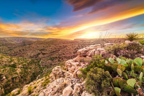 Carlsbad caverns national park