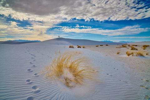 Duinen van White Sands National Park