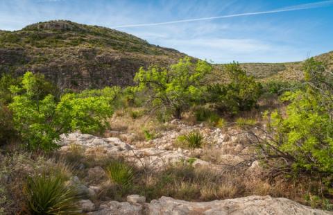 Carlsbad caverns national park