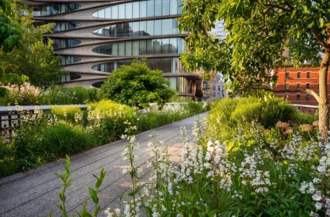 High Line Park