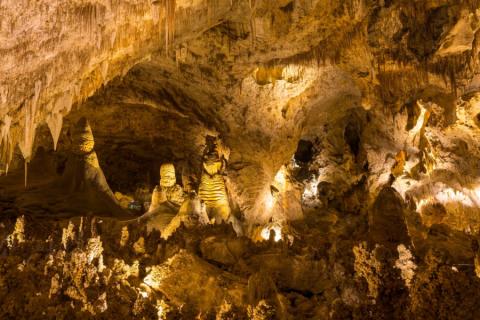 Carlsbad caverns national park