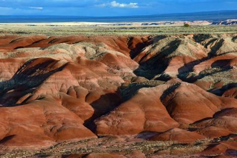 Painted Desert