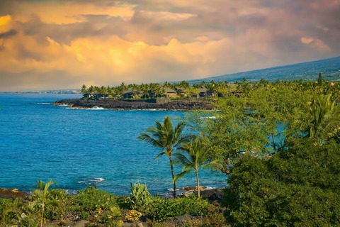 Sunset Honolulu with palm trees