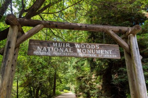 Entree Muir Woods National Monument