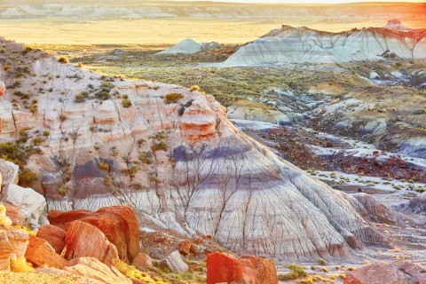 Painted Desert