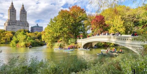 Varen in Central Park