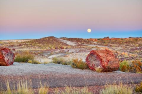 Painted Desert