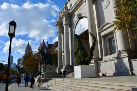 American Museum of Natural History, New York City